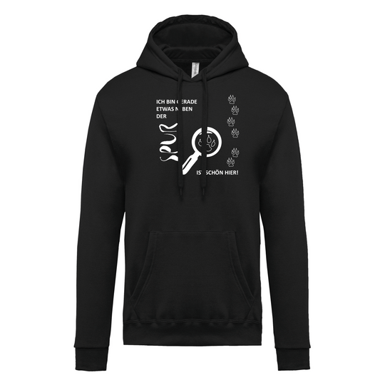 IST SCHÖN HIER - Herren Hoodie