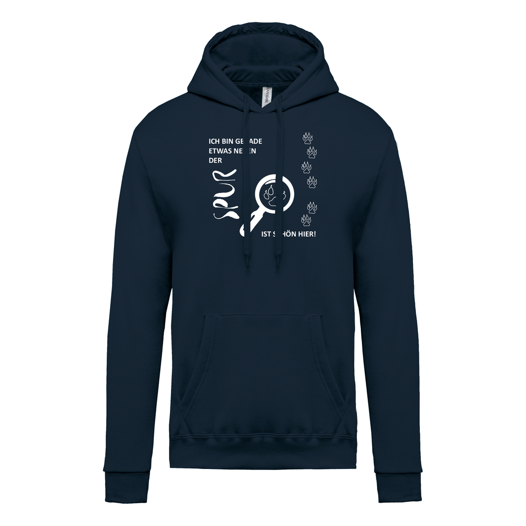 IST SCHÖN HIER - Herren Hoodie