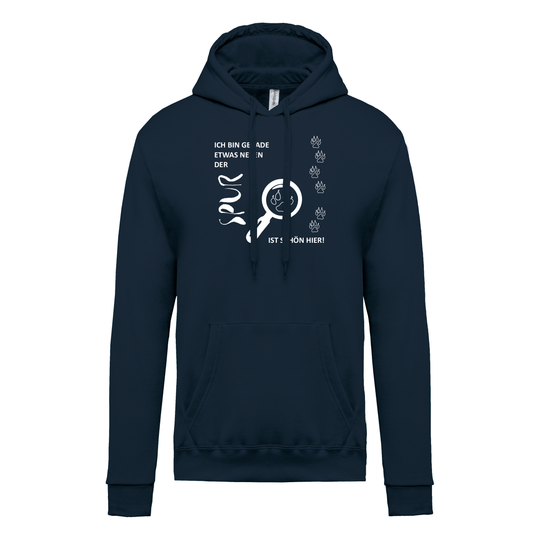 IST SCHÖN HIER - Herren Hoodie