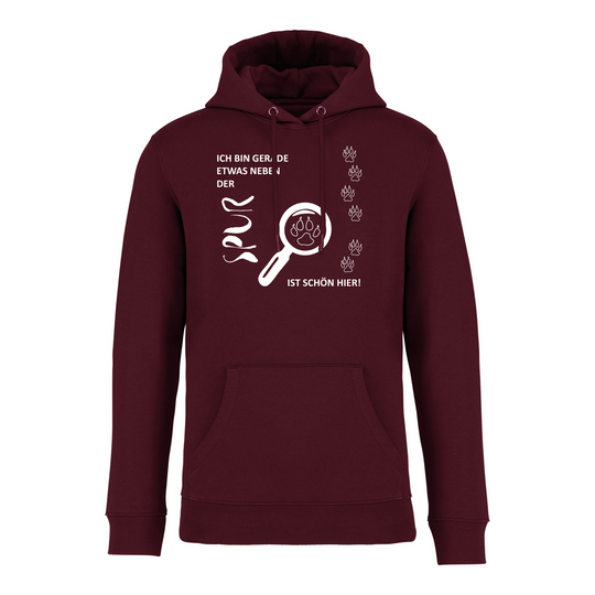 IST SCHÖN HIER - Bio Hoodie Unisex